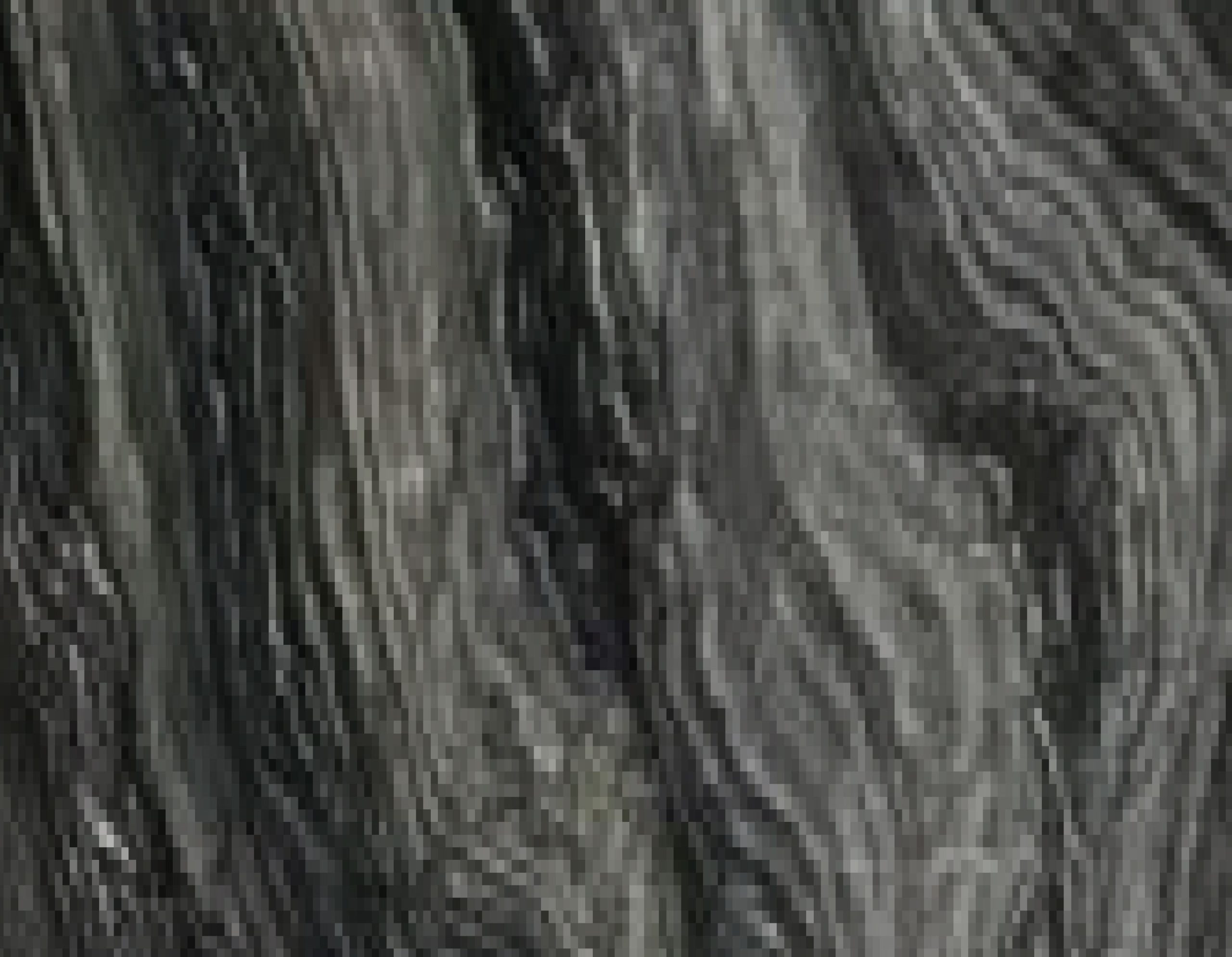Silver Wave - R4025plm